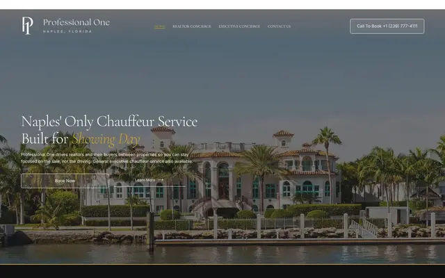 Professional One website homepage